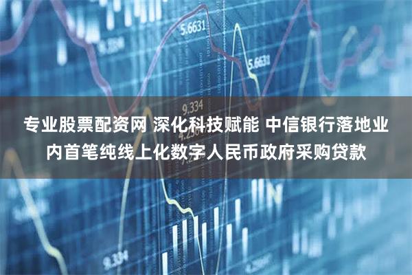 专业股票配资网 深化科技赋能 中信银行落地业内首笔纯线上化数字人民币政府采购贷款
